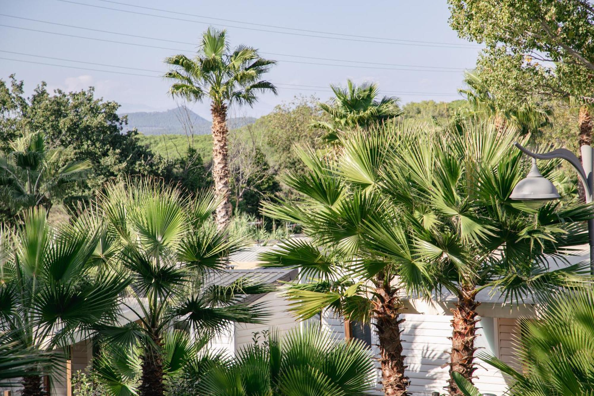 Hotel Camping Site de Gorge Vent à Fréjus Extérieur photo